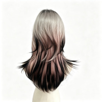 Perruque synthétique mi-longue grise argentée et noire ombrée, coupe dégradée avec frange, résistante à la chaleur, perruque complète