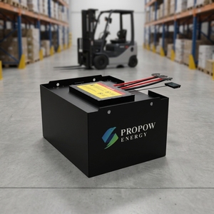 OEM <b>24v</b> 36v 48v 72v 80ah 280ah 300ah <b>Battery</b> 48v 560ah 51.2v 300ah <b>Battery</b> 48v 560ah - Product Image 6