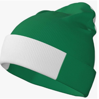 Bonnet tricoté unisexe avec drapeau nigérian, prix de gros, pour femmes et hommes, bonnet tricoté tendance, chaud et doux pour l'hiver, bonnet de ski extensible