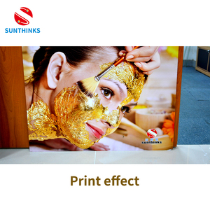Sunthinks Ricoh Gen6 Printhead Digital UV Flatbed Printer - Product Image 5