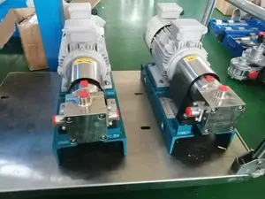 Gear Pump High Temperature Food Grade Liquid Transfer Gear Pump