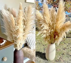40 "pulgadas <span class=keywords><strong>10</strong></span> tallos Natural Pampas Grass <span class=keywords><strong>Decor</strong></span> Tall Pompas Grass, Tall Pampas Grass para boda, fiesta, granja, Boho Home <span class=keywords><strong>Decor</strong></span> - Product Image 3