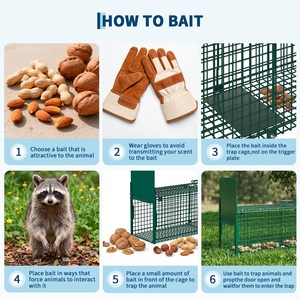 Piège à haute sensibilité personnalisé OEM avec double porte, cage verte pour la <span class=keywords><strong>capture</strong></span> et le sauvetage des animaux sauvages et des souris de campagne - Product Image 4