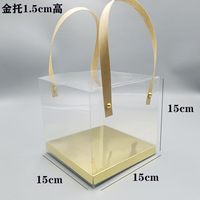 Sac cadeau pour la Journée des enfants, sac en plastique transparent avec poignée pour plantes en pot, succulentes, jouets, boules de Noël