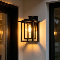 Ampoule LED E26 noire, luminaire suspendu extérieur, IP65, étanche, capteur de lumière, variateur d'intensité, pour la décoration de jardin et de paysage