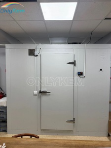Mini-chambre froide de plain-pied, chambre froide de plain-pied, chambre réfrigérée, chambre froide R410A R404A - Product Image 3