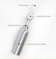 Bouteilles pulvérisatrices vides en aluminium argenté avec logo personnalisé, faible MOQ, 100ml, 200ml, 300ml, pour emballage de liquides cosmétiques et nettoyants