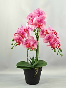 Piccola Pianta Artificiale di Orchidea Phalaenopsis - Fiore Finto in <span class=keywords><strong>Vaso</strong></span> Ecologico Sempreverde Senza Necessità di Irrigazione per Capodanno, Laurea, Pasqua - Product Image 2