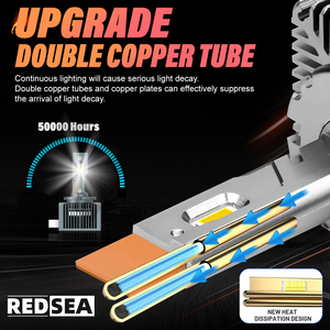 Redsea Serie D HID Xenon D1S Bombillas de luz LED 110W 11000LM D5S D2S Lámpara de xenón LED Sin errores LED D3S Bombillas de faros para <span class=keywords><strong>BMW</strong></span> - Product Image 3