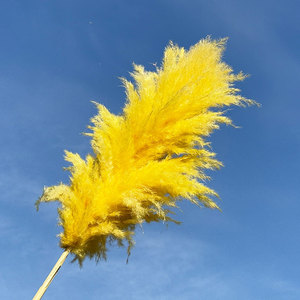 Meilleures ventes Herbe de la <span class=keywords><strong>pampa</strong></span> rouge brun foncé Décoration Fleurs artificielles faites à la main de qualité supérieure pour la fête des mères Retour à l'école Naturel - Product Image 4