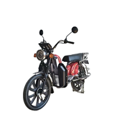 Trottinette électrique 1000W, batterie au plomb 48V 60V, trottinette électrique urbaine personnalisable en couleur