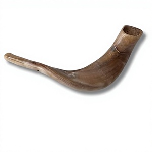 Shofar Casher en Corne de Bélier Sculptée, Grande Taille, Naturellement Poli, 10-18 Pouces, Éco-responsable, Artisanat FAIZA, Uttar Pradesh - Product Image 2