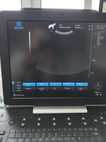 Appareil d'échographie portable OSCAT P8 VET pour usage vétérinaire, entièrement numérique, avec Doppler 2D et imagerie 3D pour hôpitaux vétérinaires
