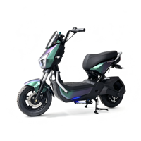 Vélo électrique 800W 60V pour adultes, type moto/scooter, avec écran LCD numérique intelligent, vitesse maximale 45-55km/h, vente en gros