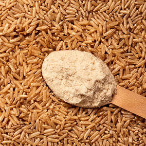 Premium Natural Vegan Brown Rice <b>Isolate</b> <b>Protein</b> <b>Powder</b> 24-Month Shelf Life Healthy Food Formulations FitTree - Product Image 1