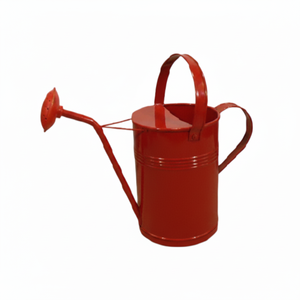 Regadera de metal con diseño moderno de tamaño y color personalizado, regadera de metal para uso doméstico, hotel y jardín, maceta de agua decorativa - Product Image 1