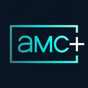 Suscripción de 12 Meses a AMC+ para Producto de Software - Product Image 4