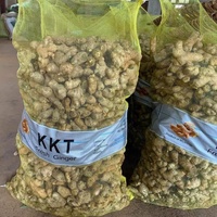 Garlic10kg Kayu Bakar Kentang Bawang Merah Hitam 25Kg Tas Produksi Jaring Dapat Digunakan Kembali dengan Tali dan Logo untuk Buah dan Sayuran