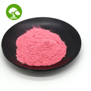 Factory Supply Food Grade Vitamin B12 Cyanocobalamin 1% Vitamin B12 Powder