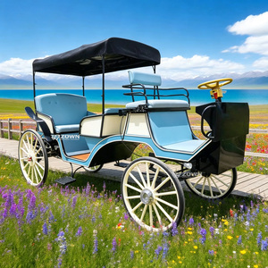 Charrette électrique personnalisable sans chevaux, aspect rétro royal, pour attraction touristique, parc à thème, projet de tourisme - Product Image 1