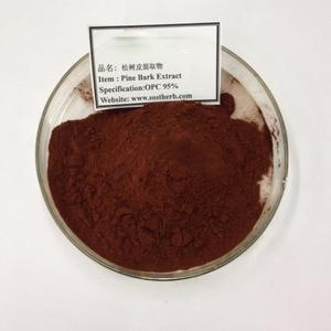 Trung Quốc EU Hữu Cơ Wellgreen Thông Vỏ Cây Chiết Xuất OPC - Product Image 2