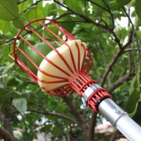 Extentool 6m verstelbare tuingereedschap aluminium telescopische steel fruitplukker oogstmand fruit plukken