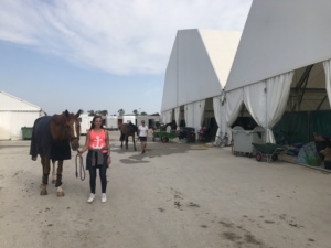 Chất Lượng Tốt Thể Thao Lớn Ổn Định Cưỡi Ngựa Đấu Trường Lều Cho Cưỡi Ngựa Trò Chơi Trong Châu Âu - Product Image 5