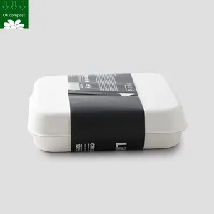 Serviço Personalizado Compostável Biodegradável Bagaço De Cana Pharma Medicina Caixa De Embalagem Eletrônica