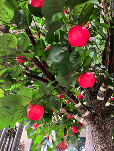 Künstlicher großer Baum Große Apfelbäume Riesiger künstlicher Obstbaum für Supermarkt und Haupt dekoration - Product Image 5