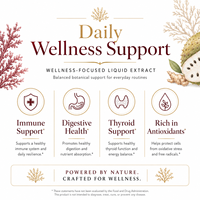 Complément Premium 120ml de Mousse de Mer et de Corossol avec Baies d'Agripa et Gingembre pour la Santé Thyroïdienne et Digestive – Vente en Gros