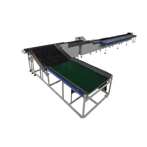 PLC control electronic fruit and vegetable grading machine apple avocado orange sorting machine