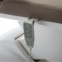 Table de massage moderne réglable lit technique à cils électriques marron lit de clinique esthétique mobilier de salon de beauté