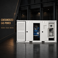 Automatisch Startender 400kW 500kVA Container-Biogas-Generator für Deponiegas-Stromerzeugung