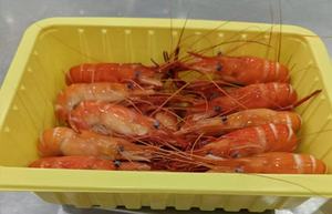 Langostinos Gigantes Enteros Cocidos Congelados Sin Sazonar <span class=keywords><strong>de</strong></span> China, Buen <span class=keywords><strong>Precio</strong></span>, Langostinos <span class=keywords><strong>de</strong></span> Buena Calidad - Product Image 2