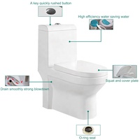 FANNISI Meilleure vente sur le marché du Moyen-Orient, en Irak et au Koweït, sanitaires en céramique, toilettes monobloc avec bidet