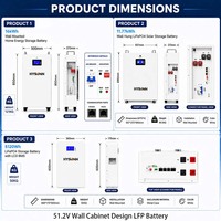 Batterie de stockage d'énergie résidentielle Hysonn LFP 51,2 V, conception en armoire murale pour villas solaires et projets d'approvisionnement en gros OEM