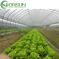 Serre verte extérieure populaire de tunnel agricole de la Chambre verte 100*8m de polycarbonate