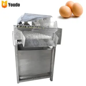 Machine à laver les œufs de canard