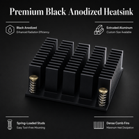Dissipateur thermique en aluminium noir anodisé sur mesure pour module de puissance IGBT, station de recharge de véhicules électriques, serveur GPU, refroidissement industriel