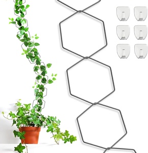 Treillis à chaîne hexagonale en acier au carbone pour <span class=keywords><strong>plantes</strong></span> d'intérieur, <span class=keywords><strong>grille</strong></span> de support pour <span class=keywords><strong>plantes</strong></span> <span class=keywords><strong>grimpantes</strong></span> - Product Image 4