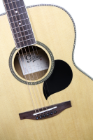 Gitar Akustik Profesional Starsun Kelas Atas dengan Bodi Sitka Spruce, Bagian Belakang/Samping Kayu Rosewood India, dan Fretboard Ebony