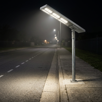 Lampadaire solaire LED WERISE IP65, éclairage extérieur, charge MPPT, contrôle AI, lampadaires solaires LED pour autoroute et route
