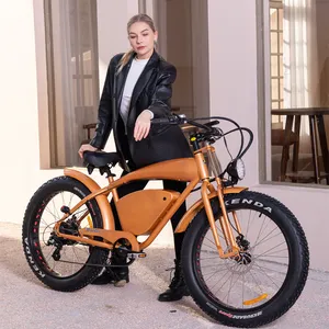 2022 very popular electric city bicycle three speed levels and disc brake with 500W rear motor