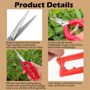 Cisailles <span class=keywords><strong>de</strong></span> <span class=keywords><strong>jardin</strong></span> <span class=keywords><strong>de</strong></span> bonne qualité à bas prix, outil à main - Product Image 4