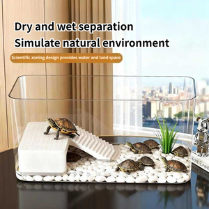 Tanque Anfibio Ecológico de Alta Transparencia, Pecera Ultraclara para Peces Dorados y Cría de Tortugas - Product Image 3