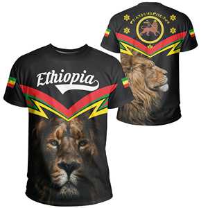 Camiseta deportiva para hombre, camiseta de fútbol transpirable con estampado de León etíope y <span class=keywords><strong>Zion</strong></span>, camisetas de sublimación para hombre a <span class=keywords><strong>precio</strong></span> barato - Product Image 2