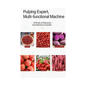 WD QDMECH <strong>Good</strong> Performance Stainless Steel Date Processing <strong>Paste</strong> Production Machine Date <strong>Paste</strong> Syrup Maker - Product Image 2