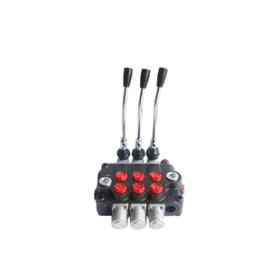 Válvula de Control Direccional Monobloque Hidráulica de 2 Bobinas P120-A1-GKZ1 con Retorno por Resorte |   Fabricante Directo de Fábrica y OEM/ODM - Product Image 4