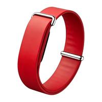 Bracelet de remplacement minimaliste moderne et élégant Bandjoy Premium pour Google Fitbit Air Strap
