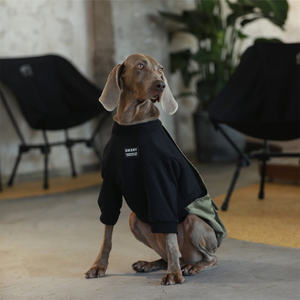 Qiqu suministros para mascotas personalizado nuevo diseñador chaqueta para perros abrigo para mascotas Pitbull Sudadera con capucha ropa para perros grandes Doberman <span class=keywords><strong>Labrador</strong></span> ropa de salida - Product Image 3